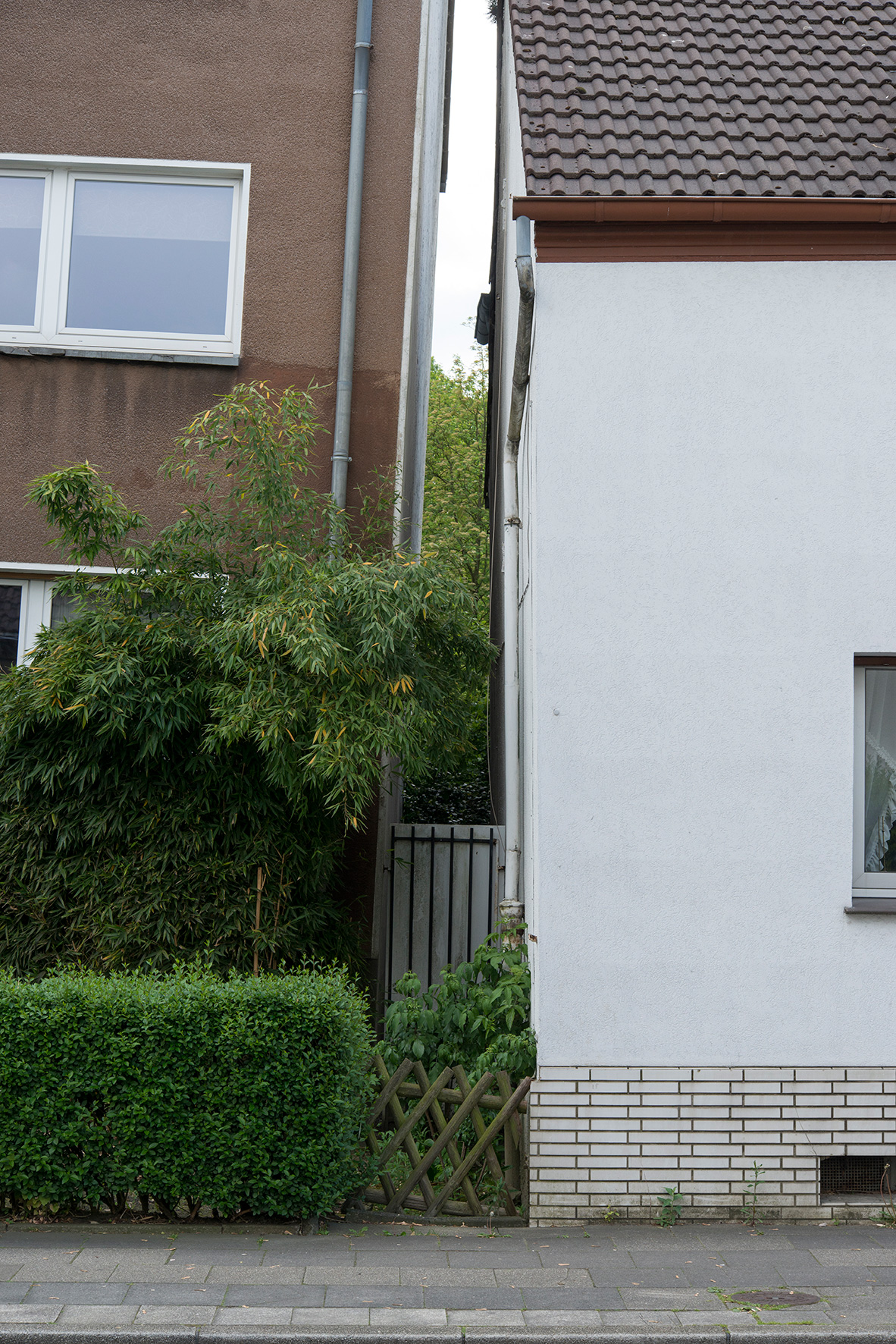 Graue Hausfront mit Hecke und Zaun